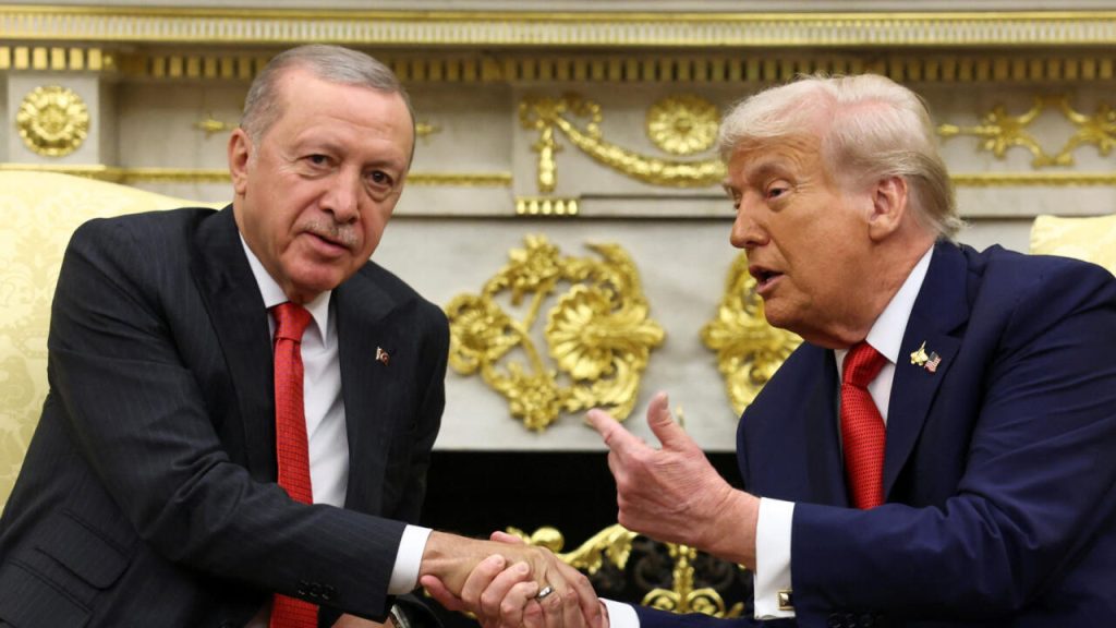 turkusa
